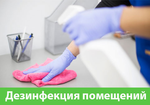 Дезинфекция помещений в городе Бийск