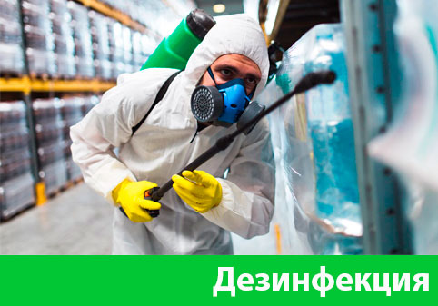 Дезинфекция в городе Бийск