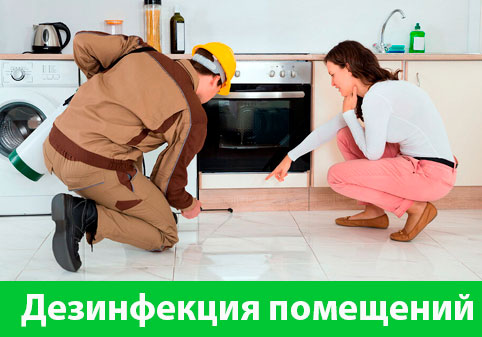 Дезинфекция офисов от коронавируса в городе Бийск