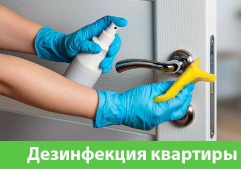 Дезинфекция квартиры в городе Бийск
