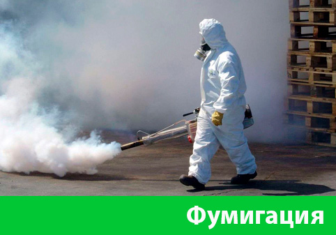Фумигация в городе Бийск