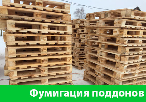 Фумигация поддонов в городе Бийск