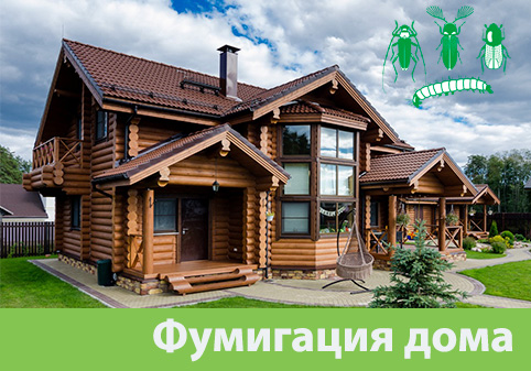 Преимущества обработки газом в городе Бийск