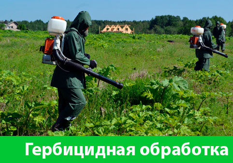 Гербицидная обработка в городе Бийск