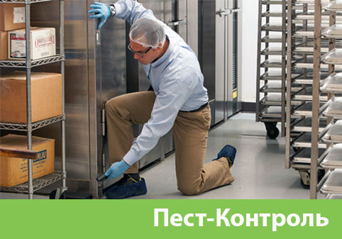 Пэст-Контроль в городе Бийск