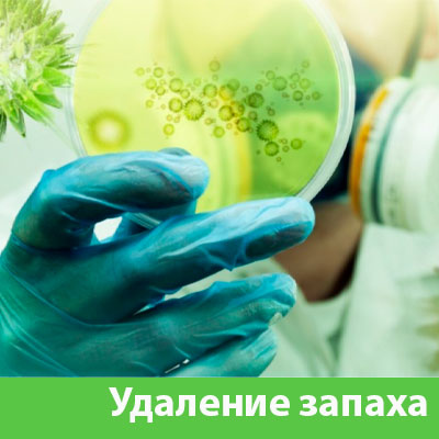 Удаление запахов в Бийске