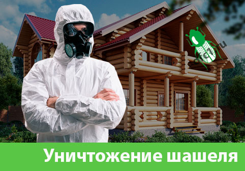 Уничтожение шашеля и личинок в Бийске