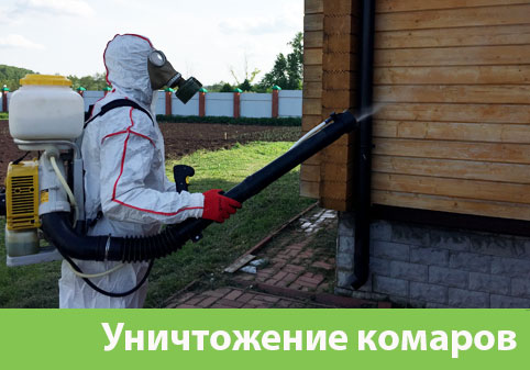 Уничтожение комаров в городе Бийск