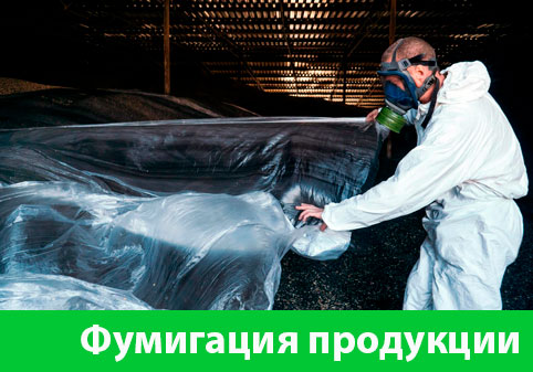 Фумигация продукции в городе Бийск